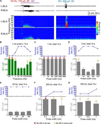 Anticonvulsant vs. Proconvulsant Effect of in situ Deep Brain Stimulation at the Epileptogenic Focus